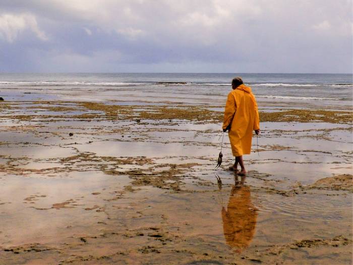 man carrying fish walking across dirt and water ponds